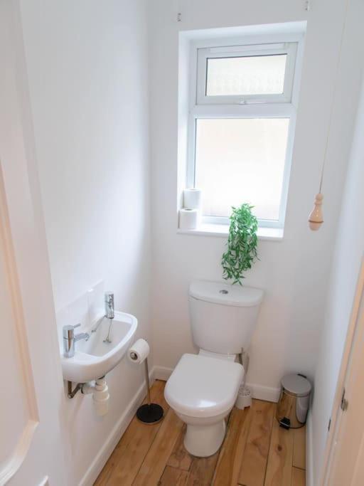 Spacious House In Brighton With Large Garden And Free Parking Falmer